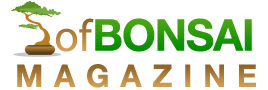 ofBonsai Magazine