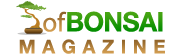 ofBonsai Magazine